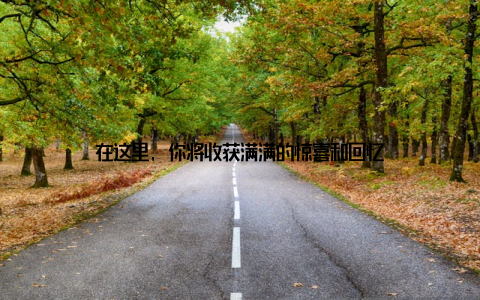 在这里, 你将收获满满的惊喜和回忆