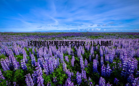 这里的自然景观美不胜收, 让人陶醉