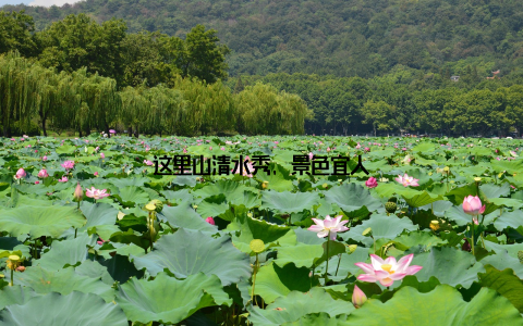 这里山清水秀, 景色宜人