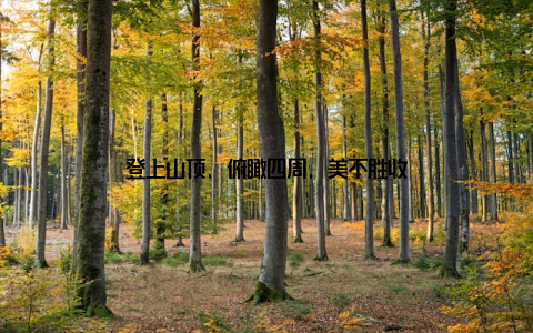 登上山顶, 俯瞰四周, 美不胜收