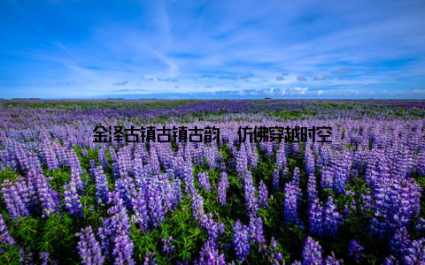 金泽古镇古镇古韵, 仿佛穿越时空