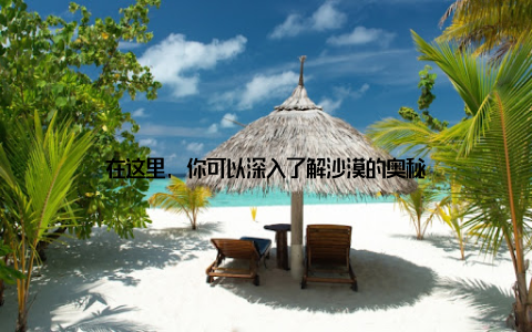 在这里, 你可以深入了解沙漠的奥秘