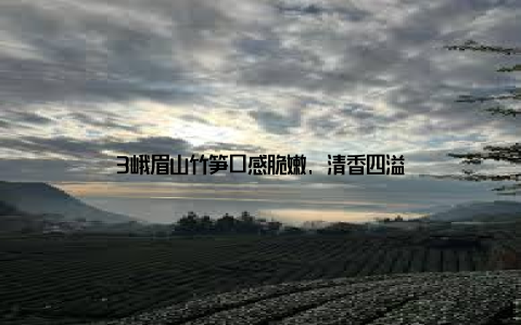 3峨眉山竹笋口感脆嫩, 清香四溢