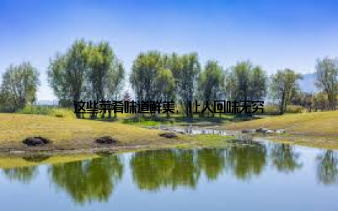 这些菜肴味道鲜美, 让人回味无穷