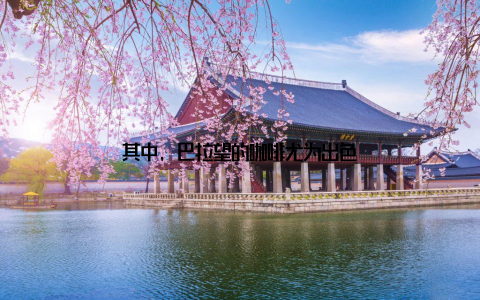 其中, 巴拉望的咖啡尤为出色