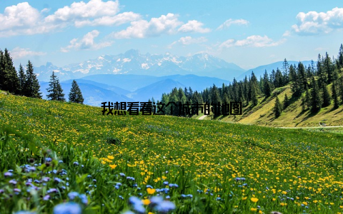 我想看看这个城市的地图