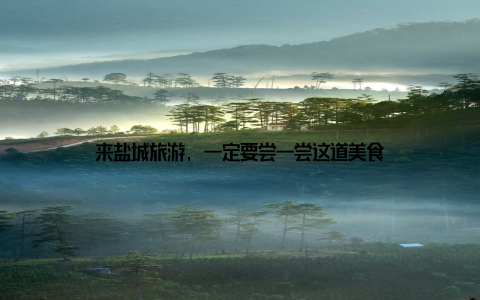 来盐城旅游, 一定要尝一尝这道美食