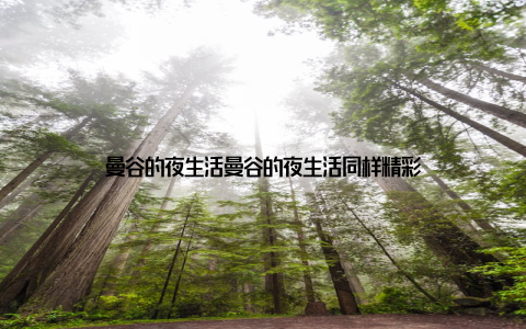 曼谷的夜生活曼谷的夜生活同样精彩