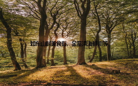 如东山村美食街、金銮湾海鲜街等