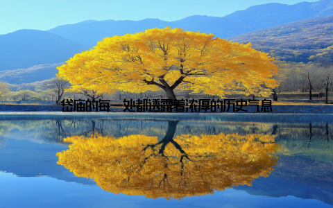 岱庙的每一处都透露着浓厚的历史气息