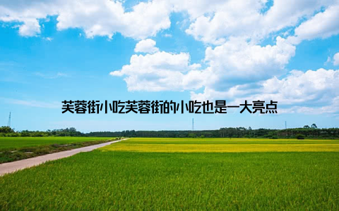 芙蓉街小吃芙蓉街的小吃也是一大亮点