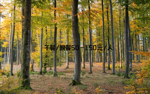 – 午餐/晚餐50-150元/人