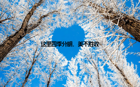 这里四季分明, 美不胜收