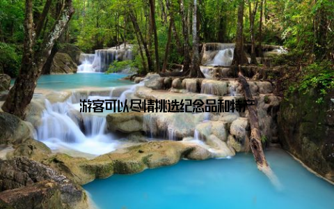 游客可以尽情挑选纪念品和特产