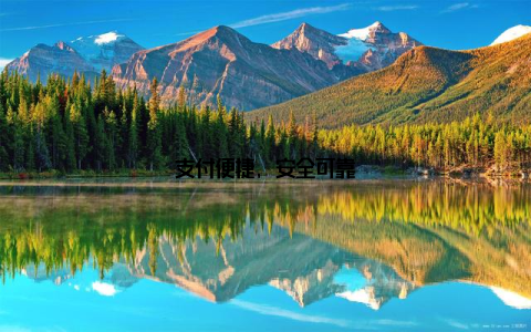 支付便捷, 安全可靠