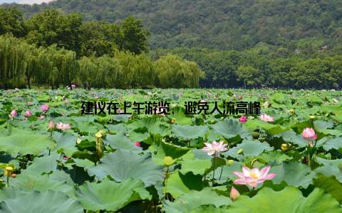 建议在上午游览, 避免人流高峰