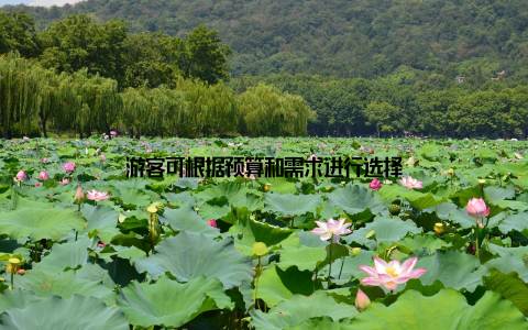 游客可根据预算和需求进行选择