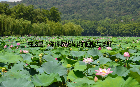 在这里, 你将收获满满的回忆与美好