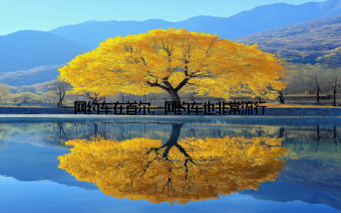 网约车在首尔, 网约车也非常流行