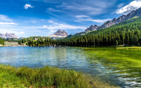 导游费用导游费用通常包含在团费中